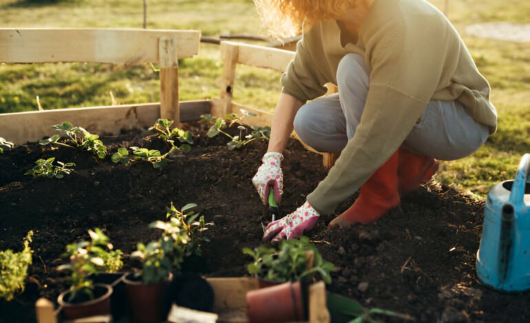 Gardening