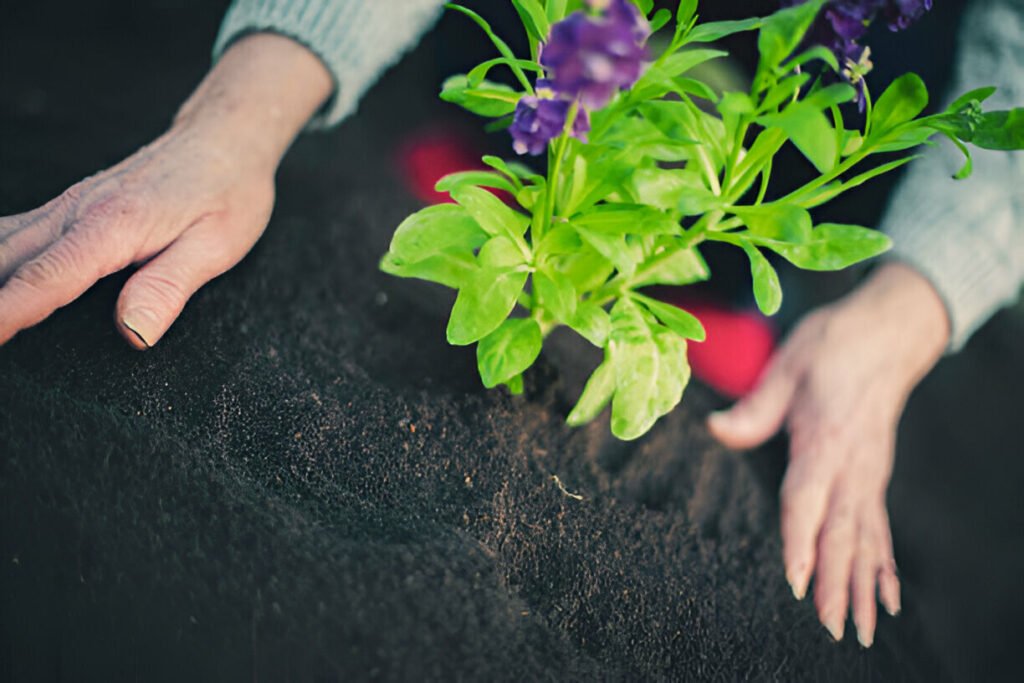 Gardening